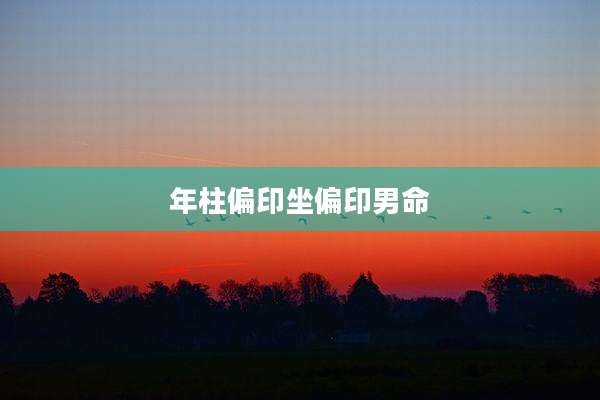 年柱偏印坐偏印男命