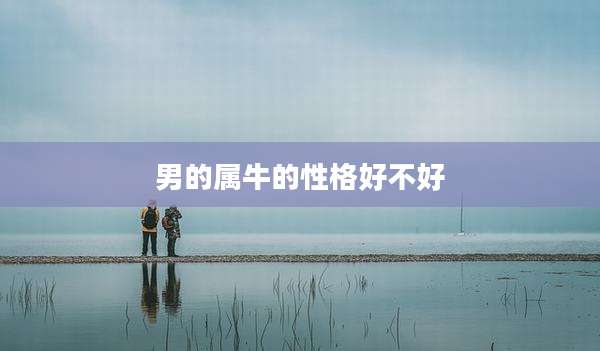 男的属牛的性格好不好