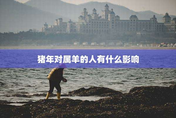 猪年对属羊的人有什么影响