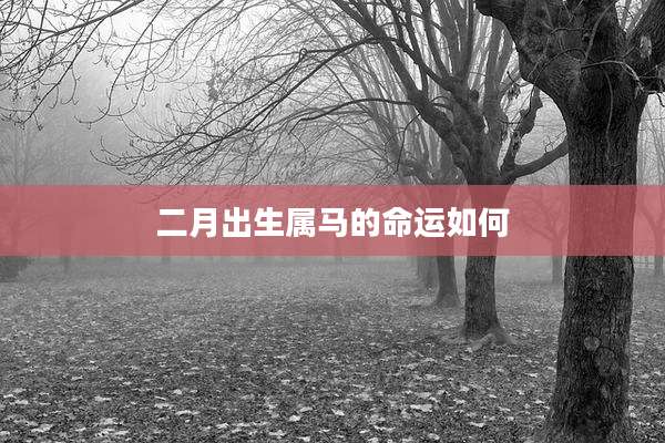 二月出生属马的命运如何