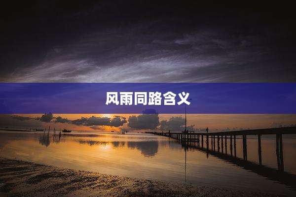 风雨同路含义