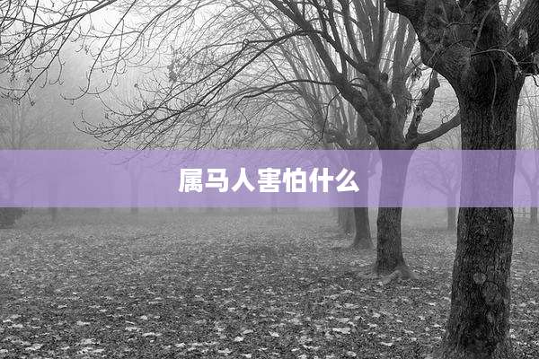 属马人害怕什么