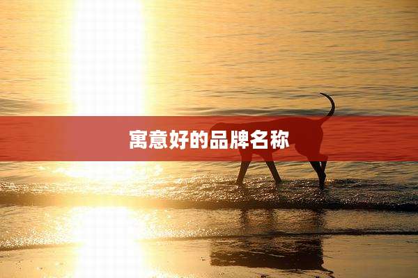 寓意好的品牌名称