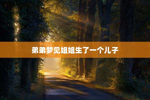 弟弟梦见姐姐生了一个儿子