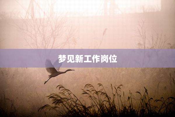 梦见新工作岗位