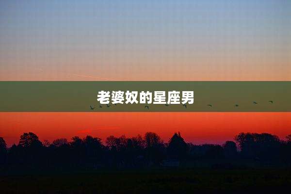 老婆奴的星座男