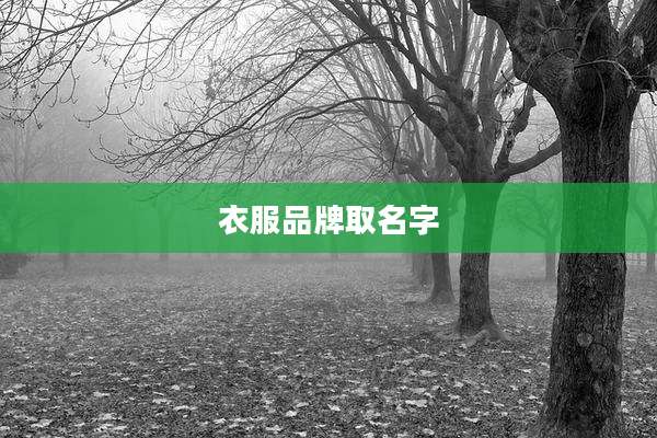 衣服品牌取名字