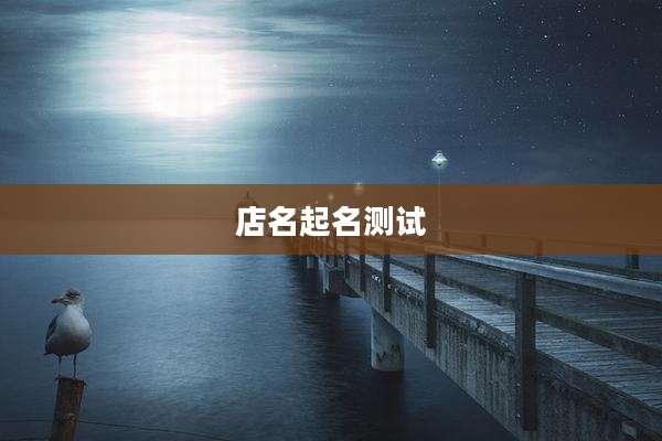 店名起名测试