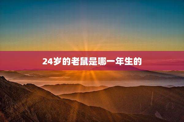 24岁的老鼠是哪一年生的