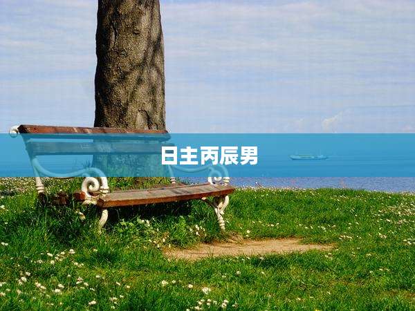 日主丙辰男