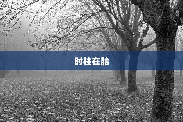 时柱在胎
