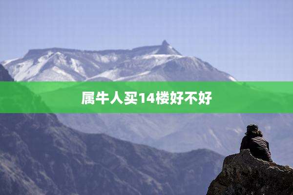 属牛人买14楼好不好