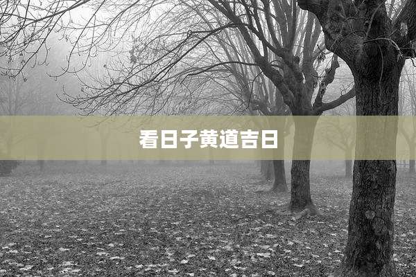 看日子黄道吉日