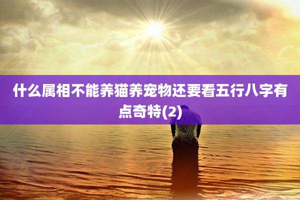 什么属相不能养猫养宠物还要看五行八字有点奇特(2)