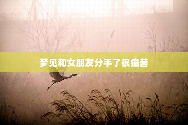 梦见和女朋友分手了很痛苦