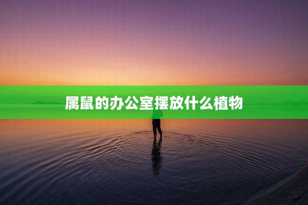 属鼠的办公室摆放什么植物