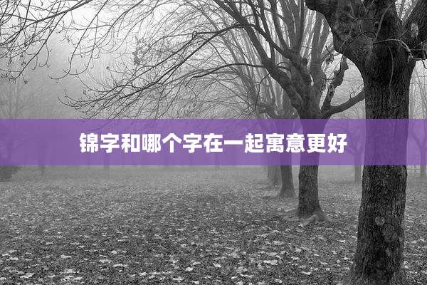 锦字和哪个字在一起寓意更好