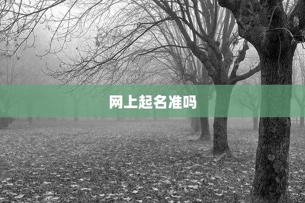 网上起名准吗