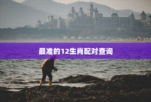 最准的12生肖配对查询
