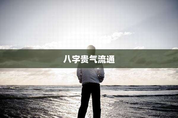八字贵气流通