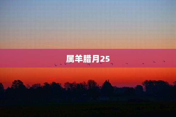 属羊腊月25