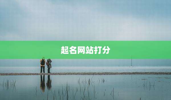 起名网站打分