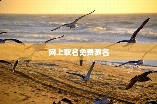 网上取名免费测名