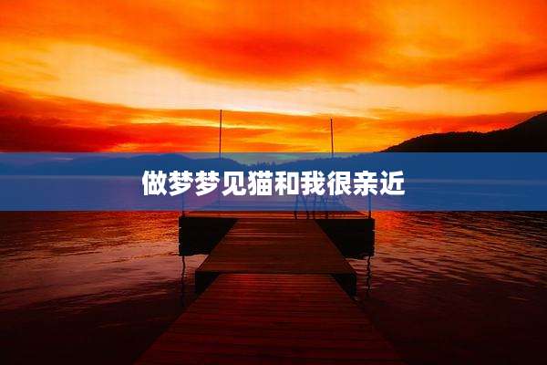 做梦梦见猫和我很亲近