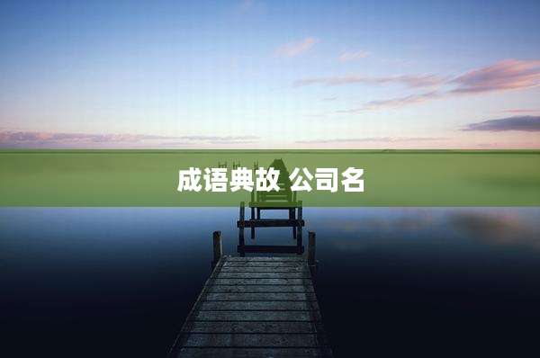 成语典故 公司名