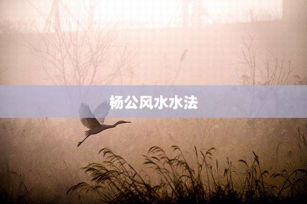 杨公风水水法