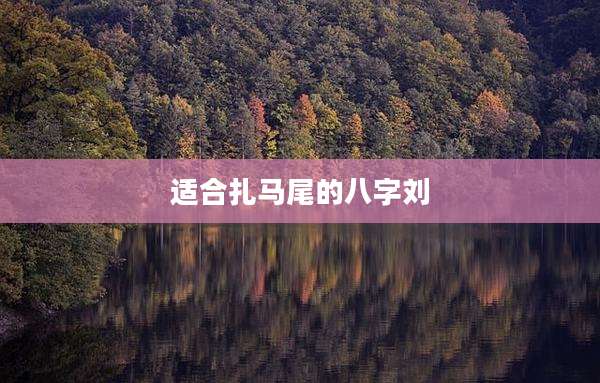 适合扎马尾的八字刘