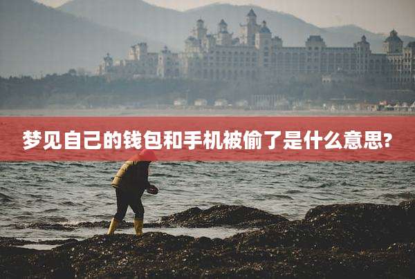 梦见自己的钱包和手机被偷了是什么意思?