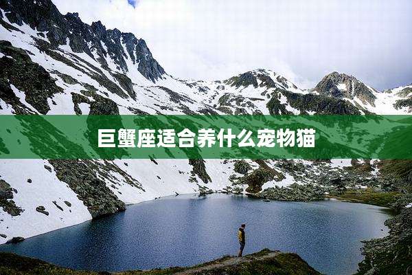 巨蟹座适合养什么宠物猫
