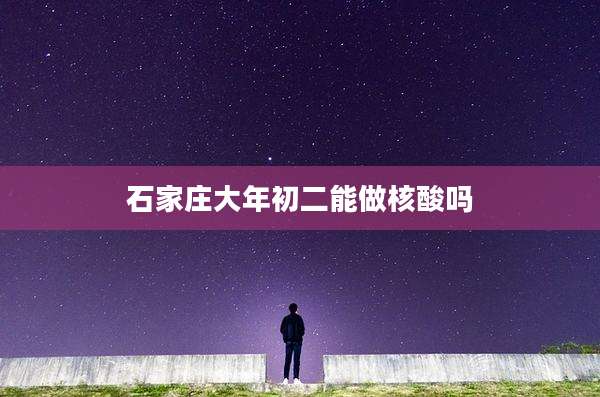 石家庄大年初二能做核酸吗