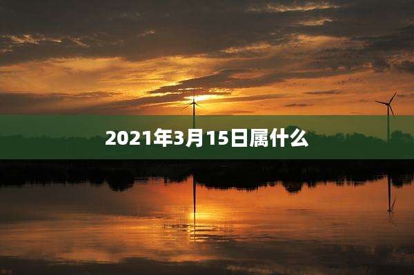 2021年3月15日属什么