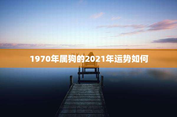 1970年属狗的2021年运势如何