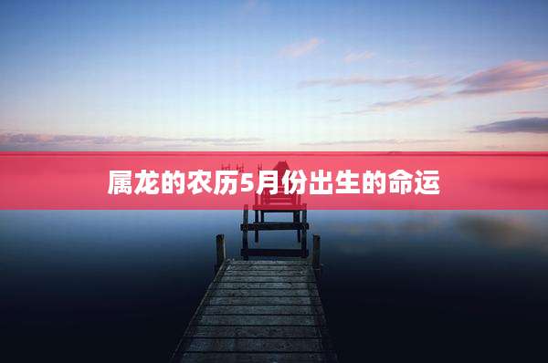 属龙的农历5月份出生的命运