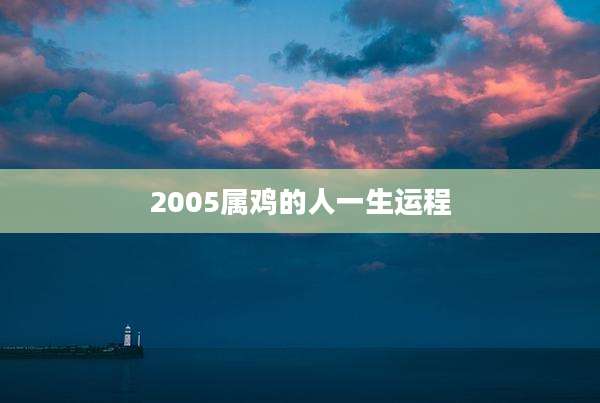 2005属鸡的人一生运程