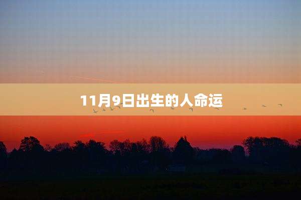 11月9日出生的人命运
