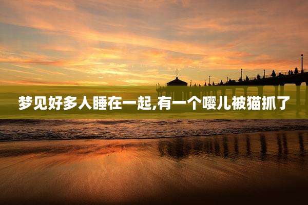 梦见好多人睡在一起,有一个嘤儿被猫抓了