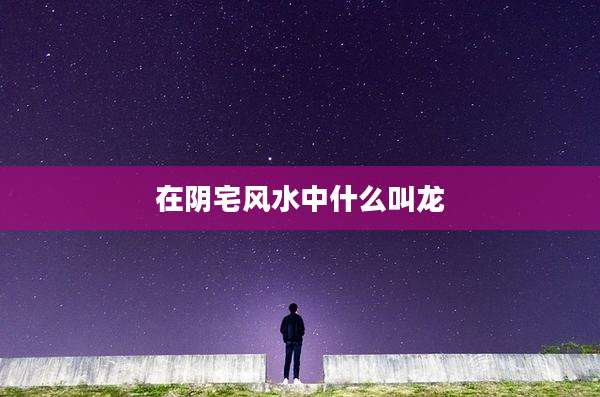 在阴宅风水中什么叫龙
