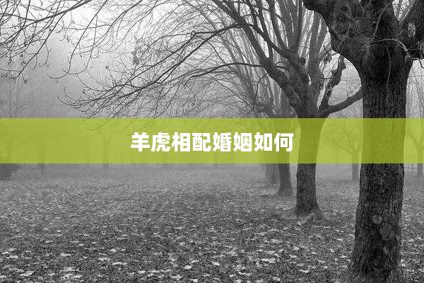 羊虎相配婚姻如何