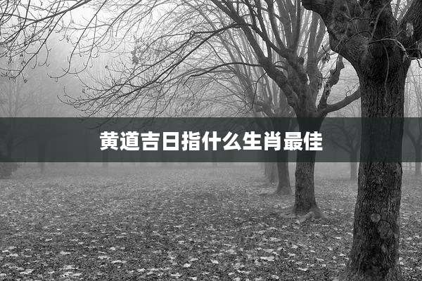 黄道吉日指什么生肖最佳
