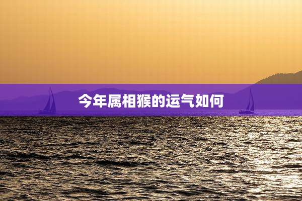 今年属相猴的运气如何