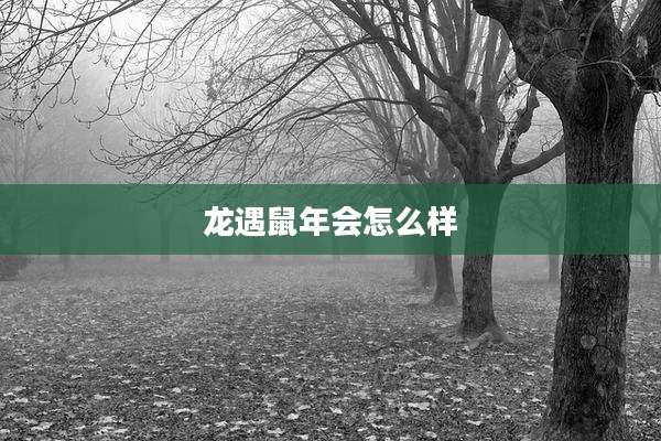 龙遇鼠年会怎么样