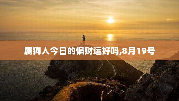 属狗人今日的偏财运好吗,8月19号