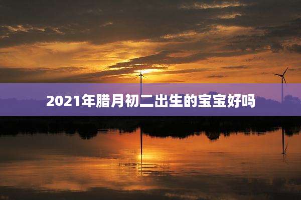 2021年腊月初二出生的宝宝好吗