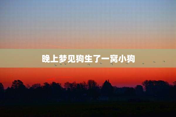 晚上梦见狗生了一窝小狗