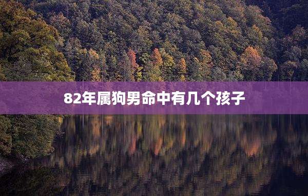 82年属狗男命中有几个孩子