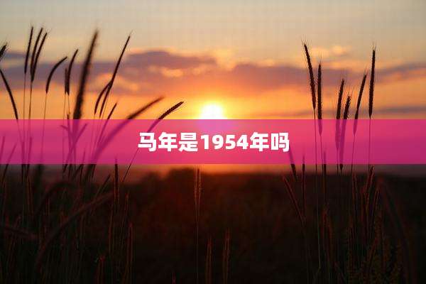 马年是1954年吗